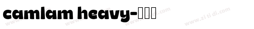 camlam heavy字体转换
